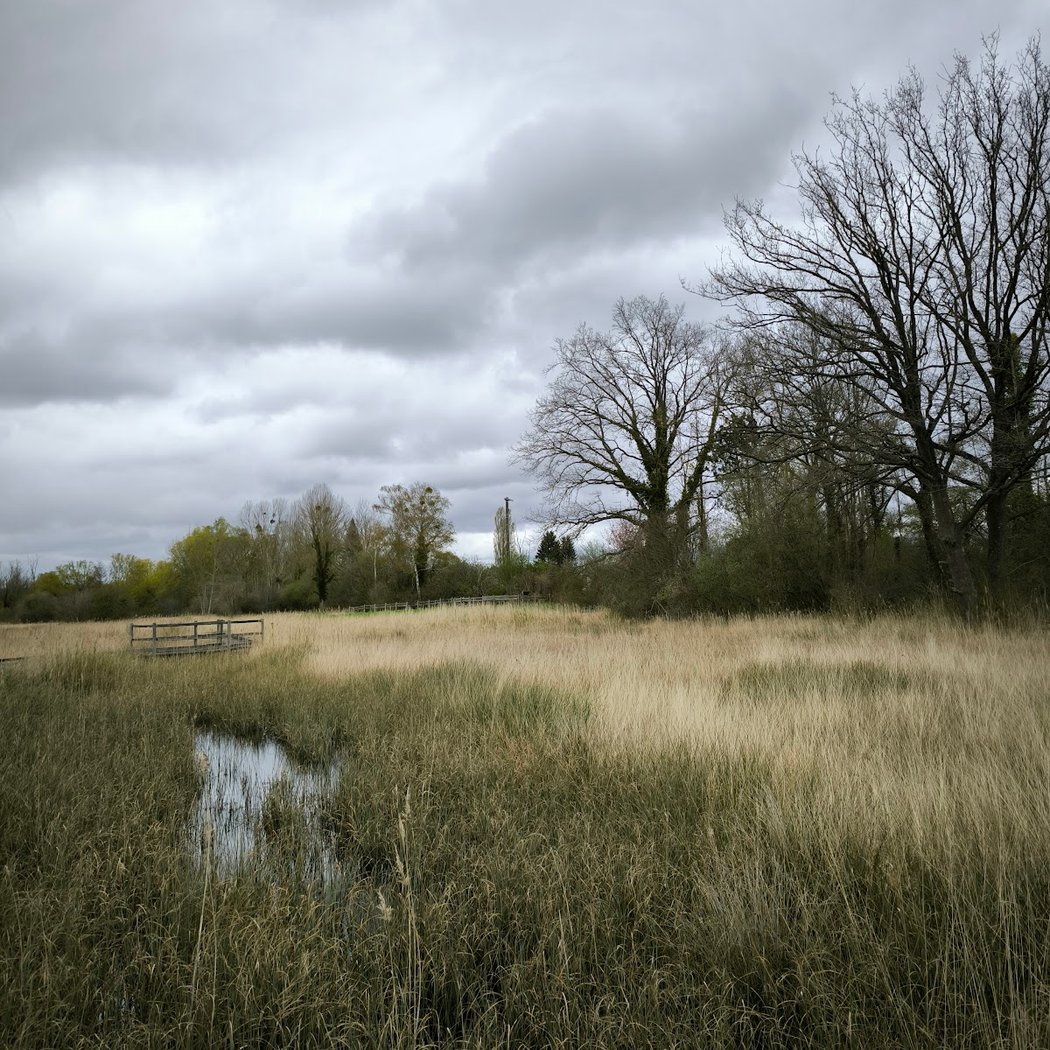 Marais d'Episy (Espace Naturel Sensible, pêche strictement interdite) 2