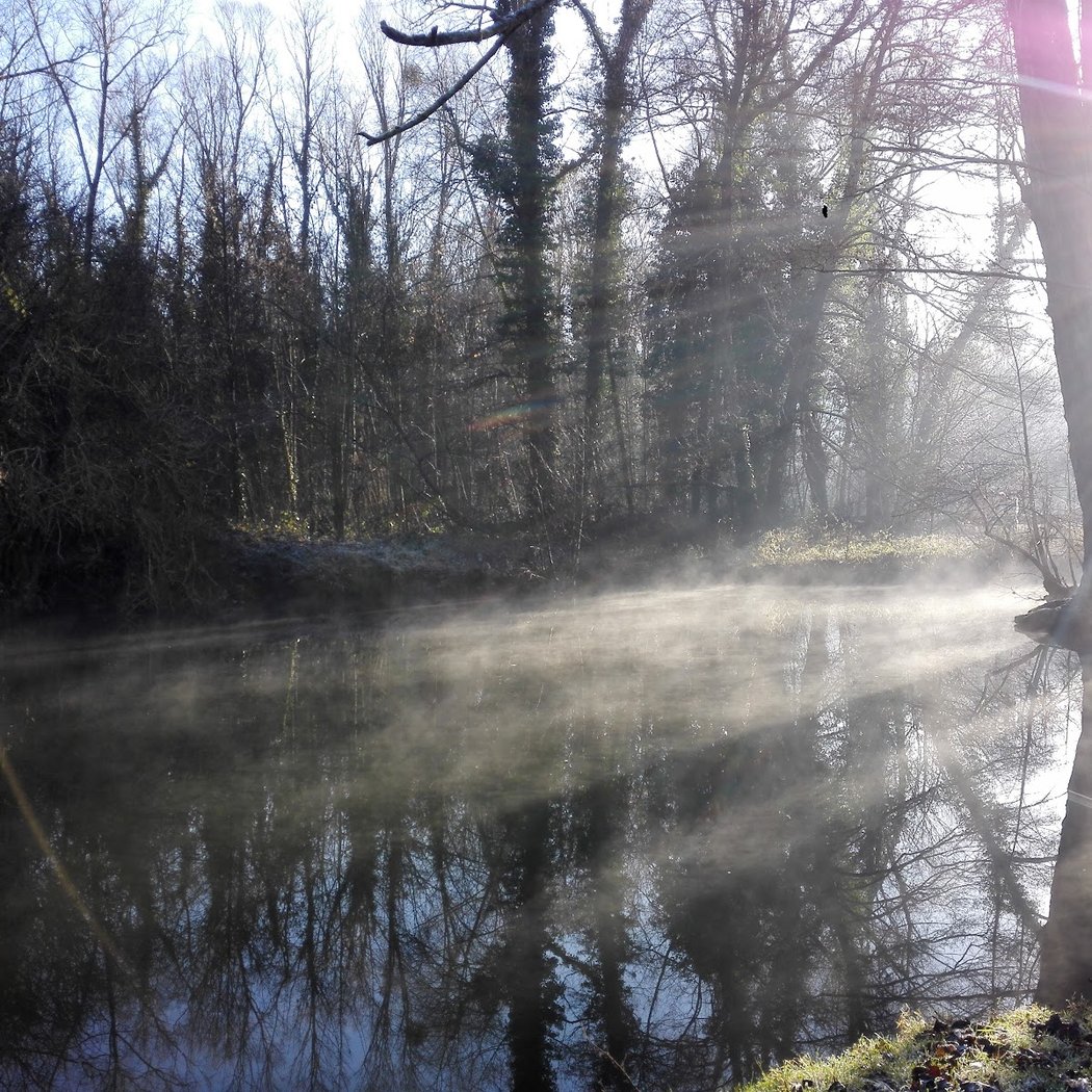 L’Yerres se refait une beauté 2