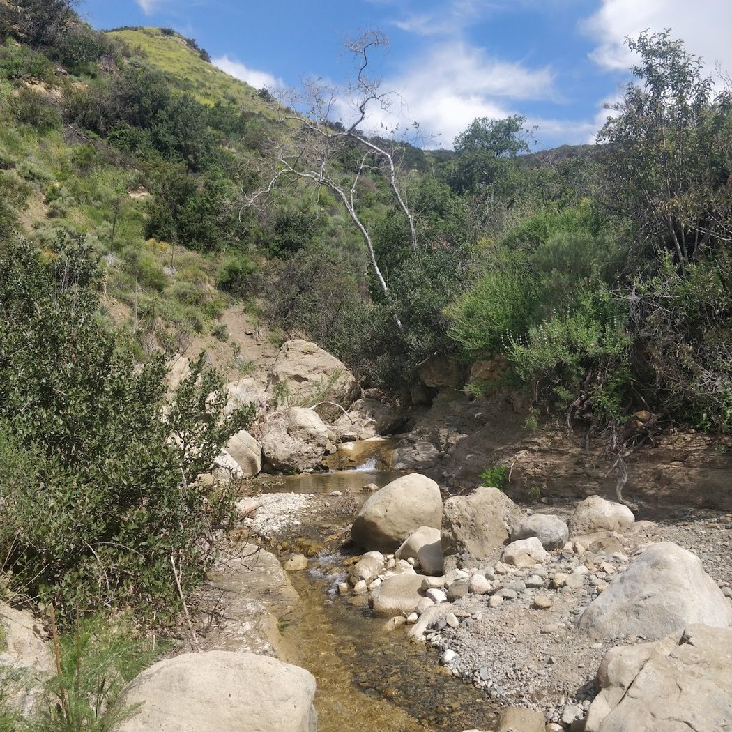 Black Star Canyon 3