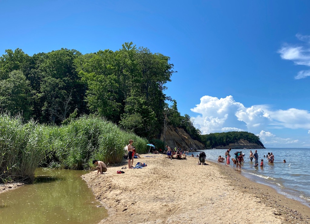 Calvert Cliffs State Park 1