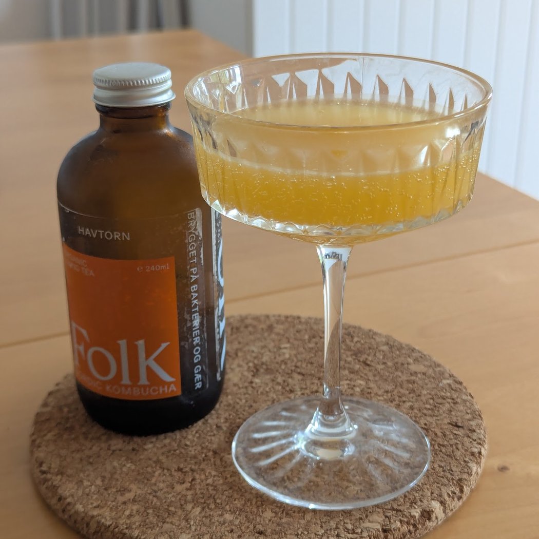 Folk Kombucha 1