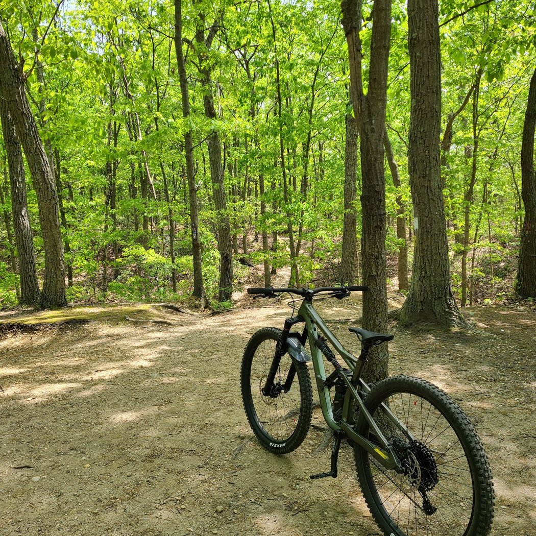 Stillwell Woods Park 1