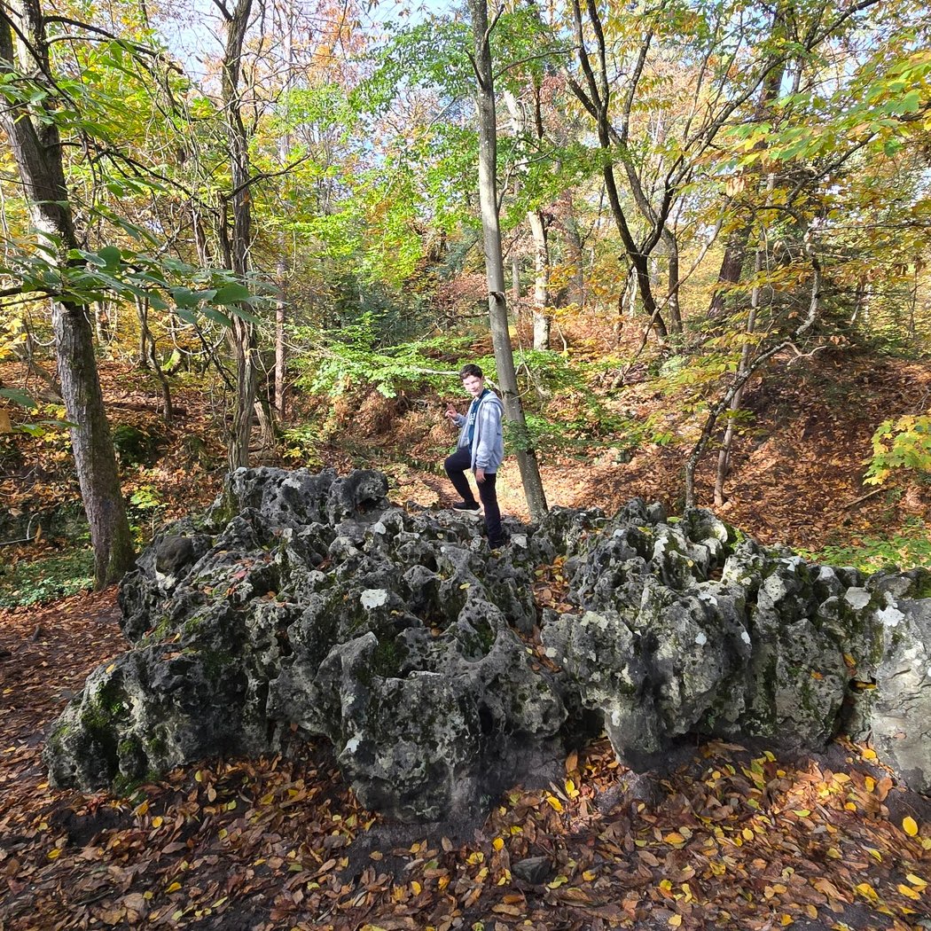 La roche éponge 3