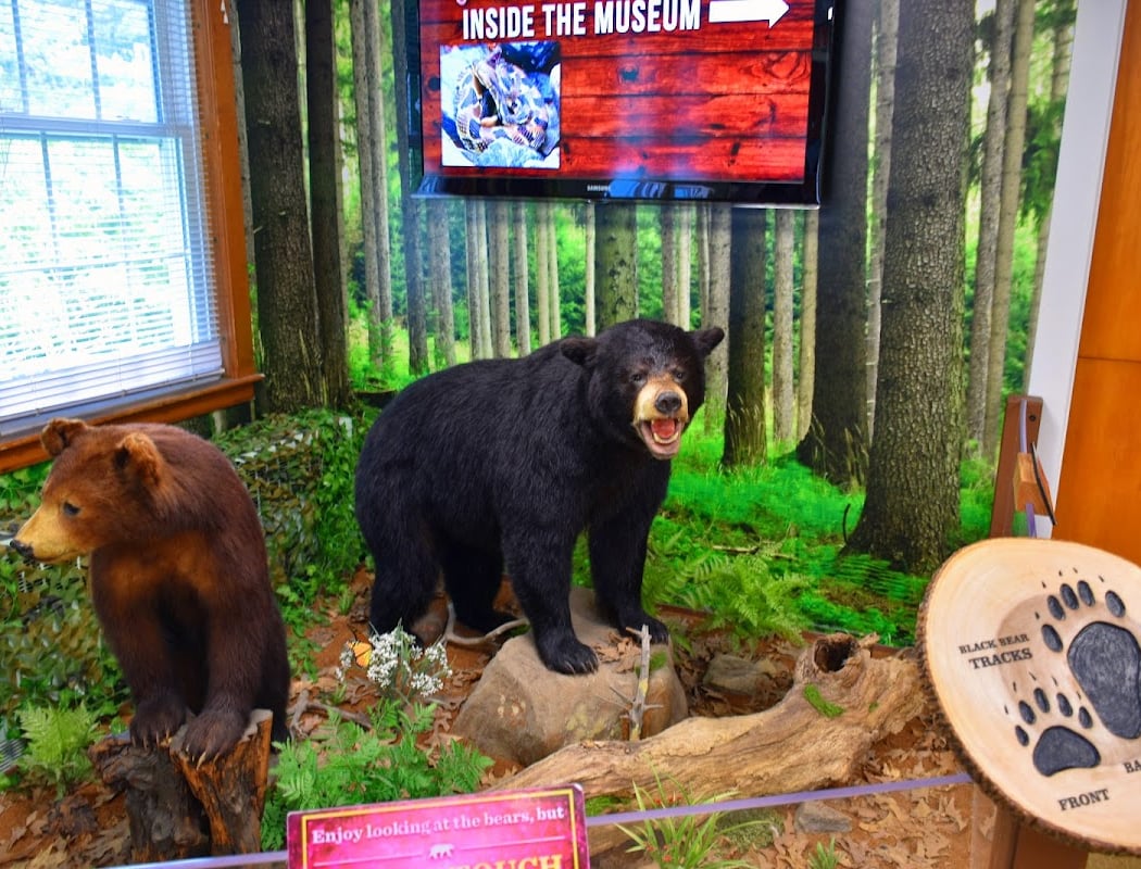 Blue Hills Trailside Museum 3