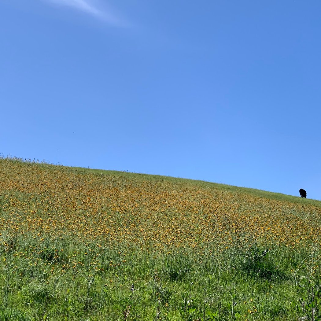 Hidden Valley Open Space 2
