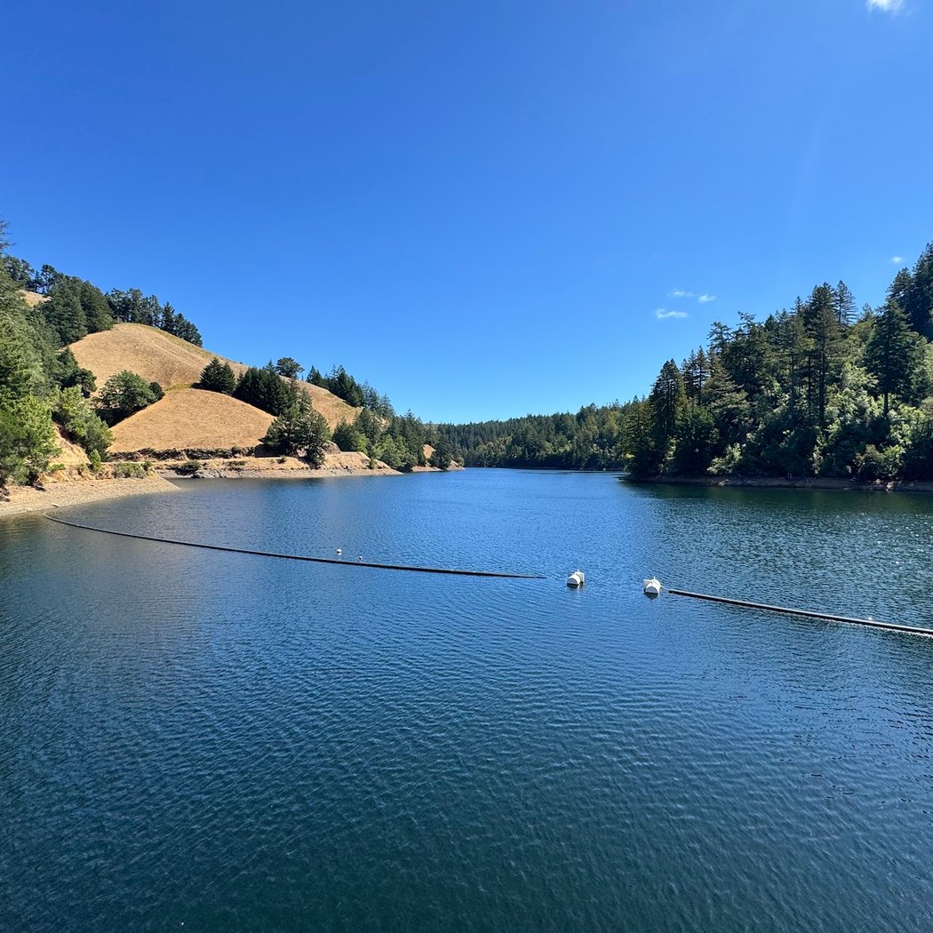 Alpine Dam 2