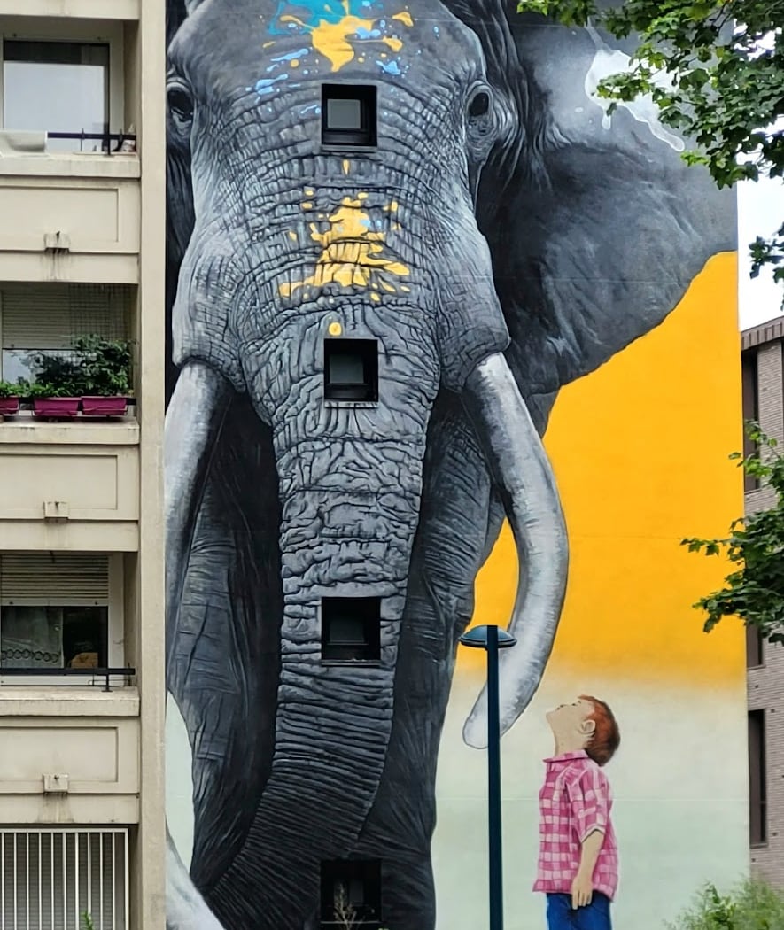 Les Arts fleurissent la ville - visites street art 3
