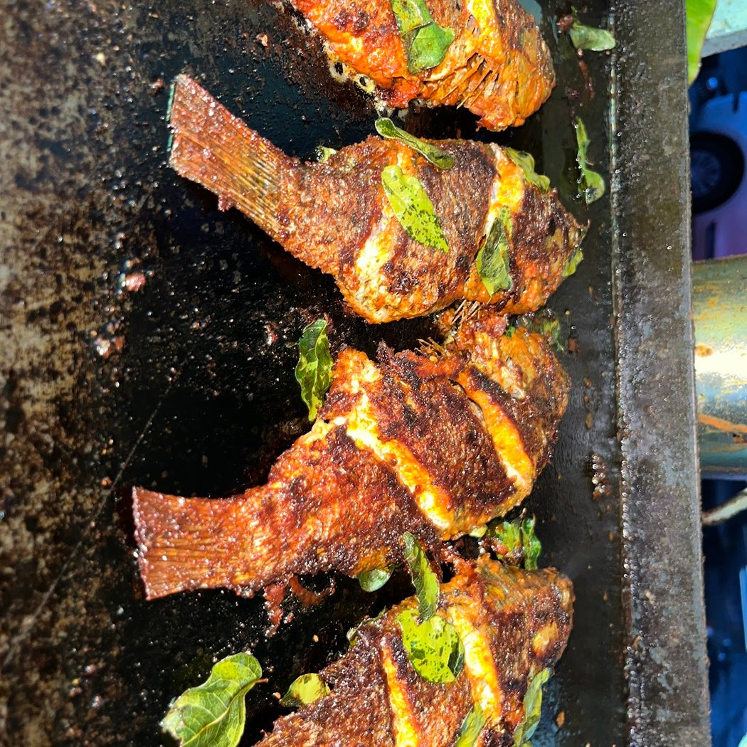 Costal sea fish food 1