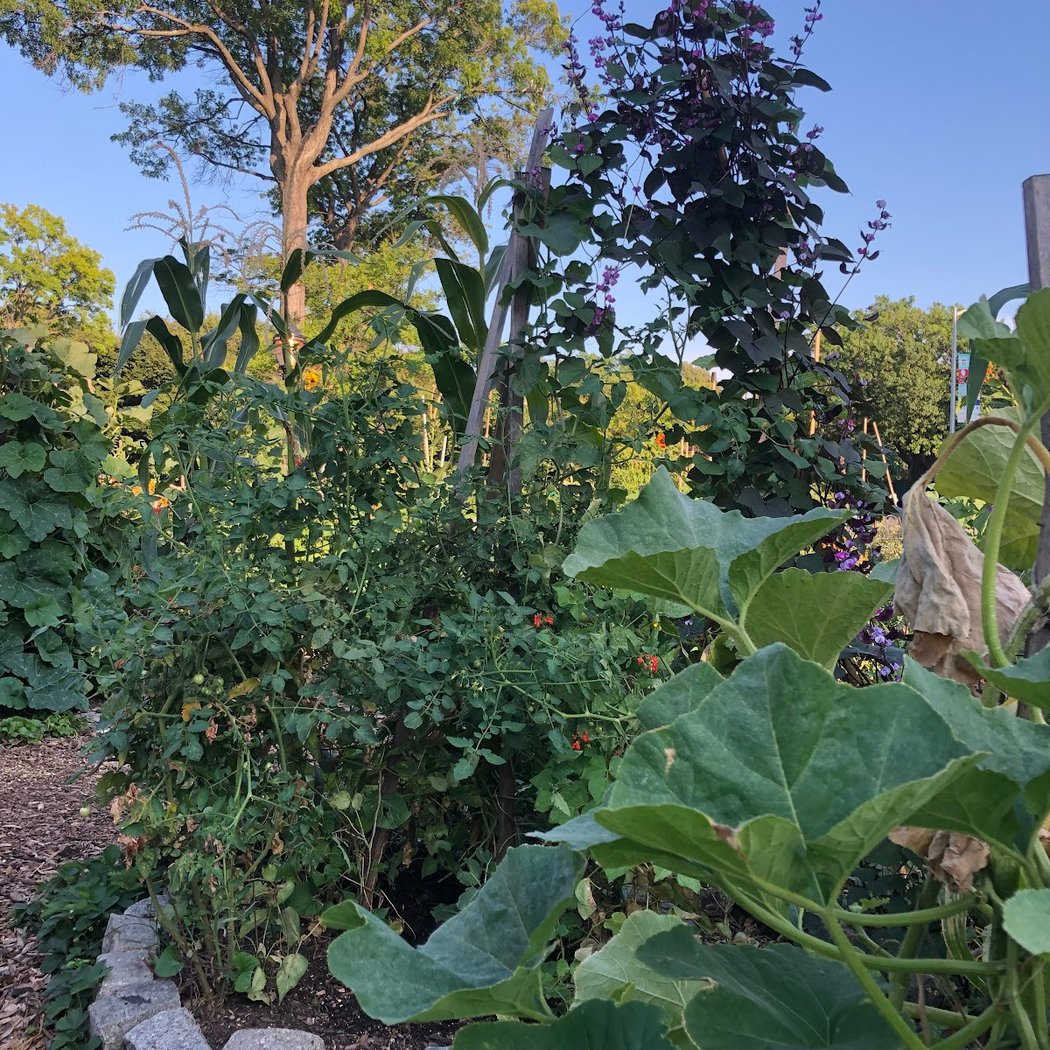 Farm Garden at J.J. Byrne Playground 2