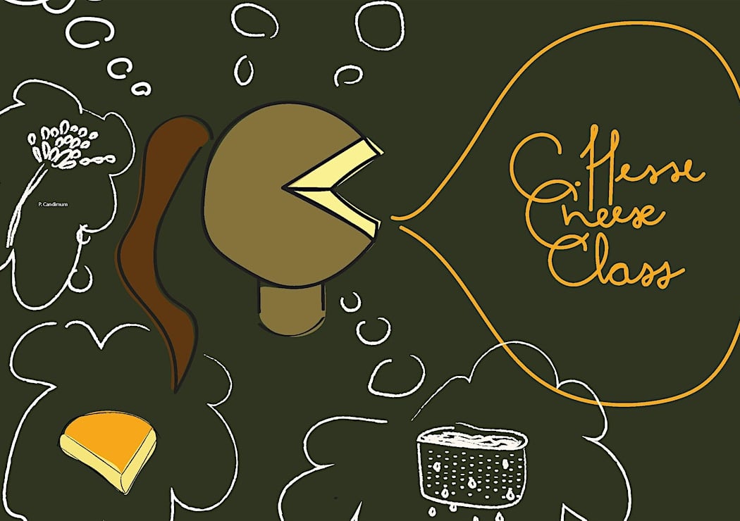 C. Hesse Cheese 101 Class 3