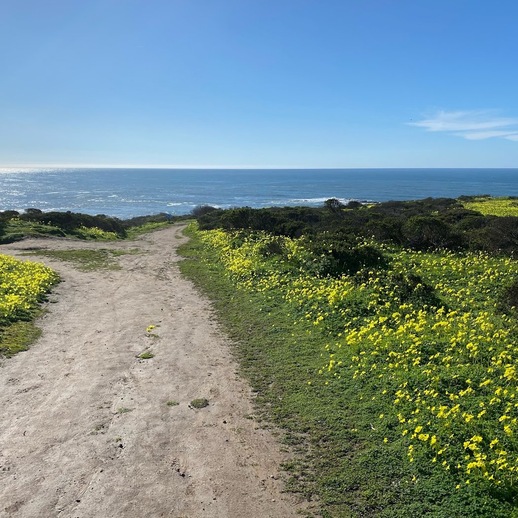 Coastal Walk at Pillar Point Bluff 3