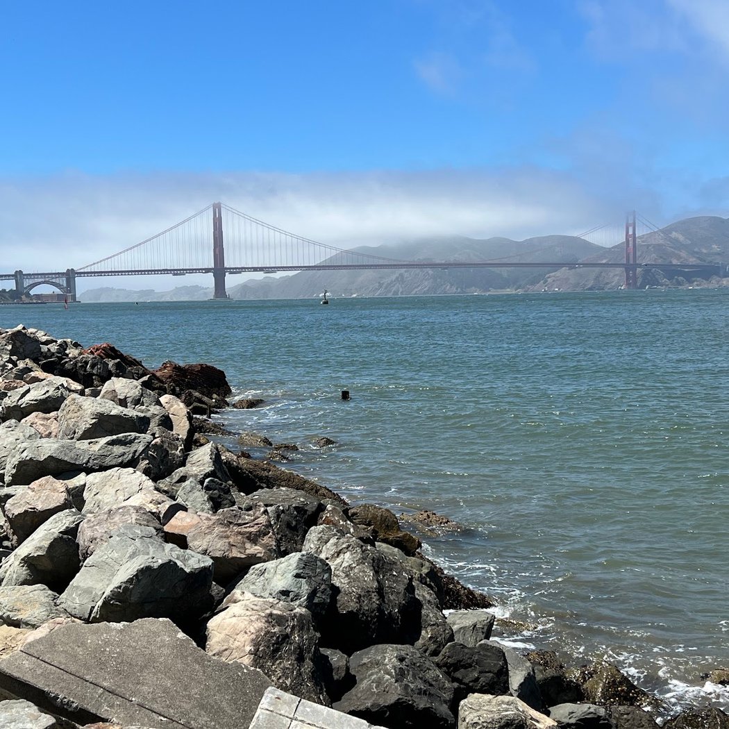 SATURDAY RUN + PLUNGE 2