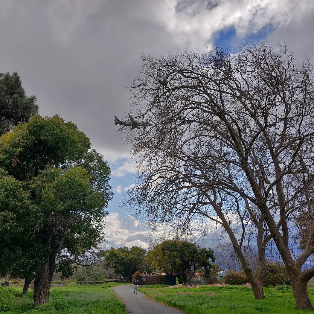 Historic Orchard Maintenance 1
