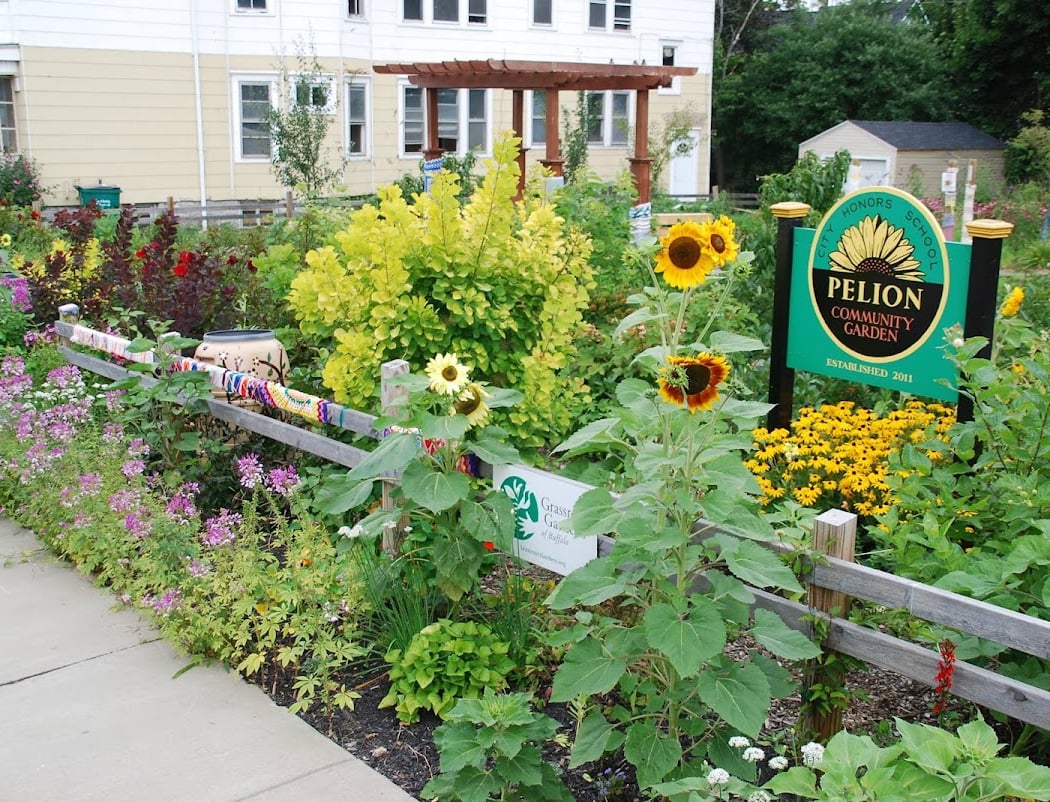 Grassroots Gardens WNY 1