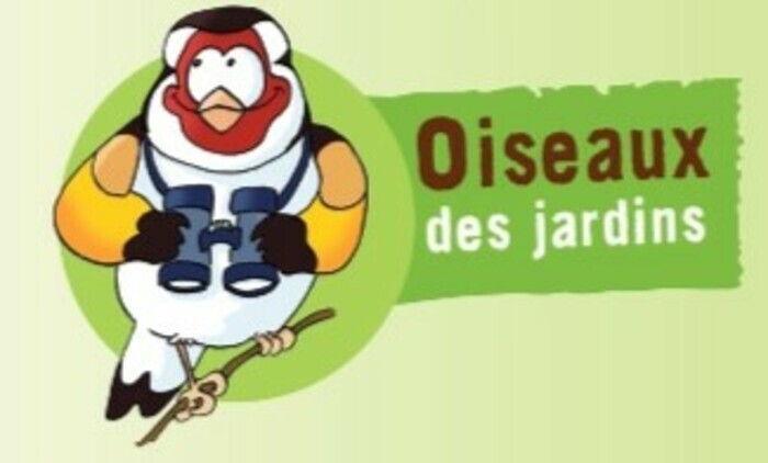 Comptage hivernal des oiseaux des jardins 1