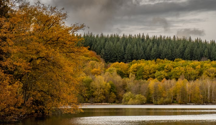 Lac de Saint-Agnan 1