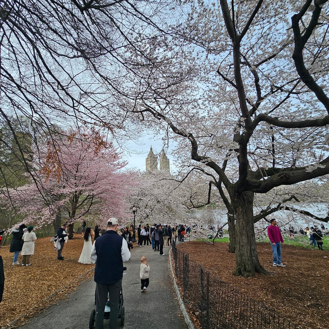 Centralparkexperience Sightseeing LLC 3