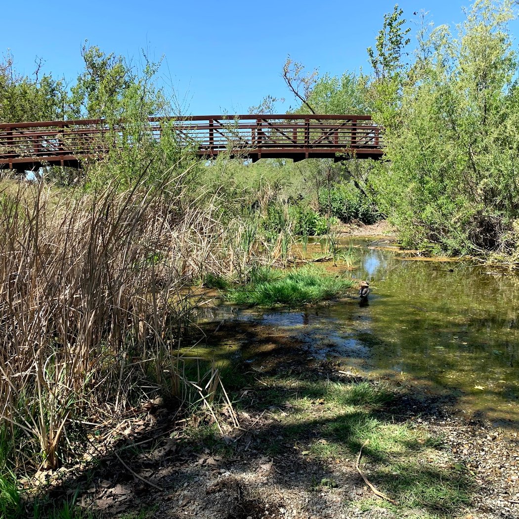 Sycamore Grove Park 5