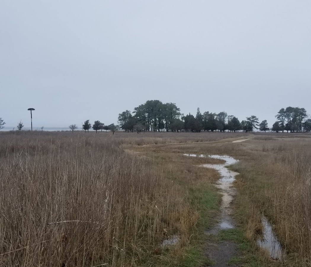 Hubbard County Park 2