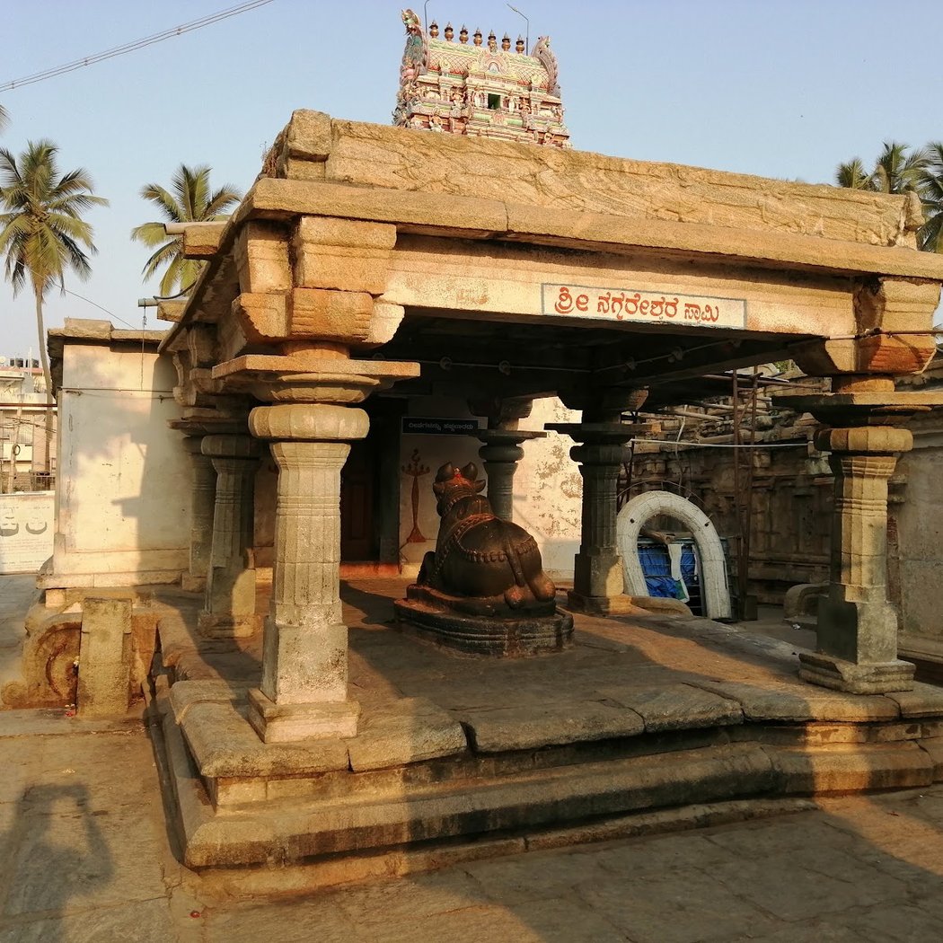 Shri Panchalinga Nageshwara Temple 3