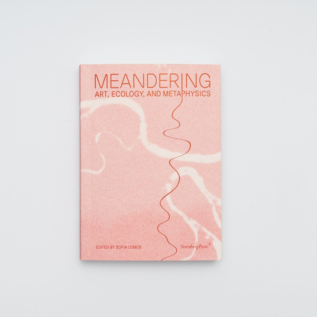Meandering: Art, Ecology, and Metaphysics Book Launch 1