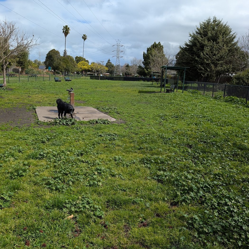 Eden Greenway Dog Park 2