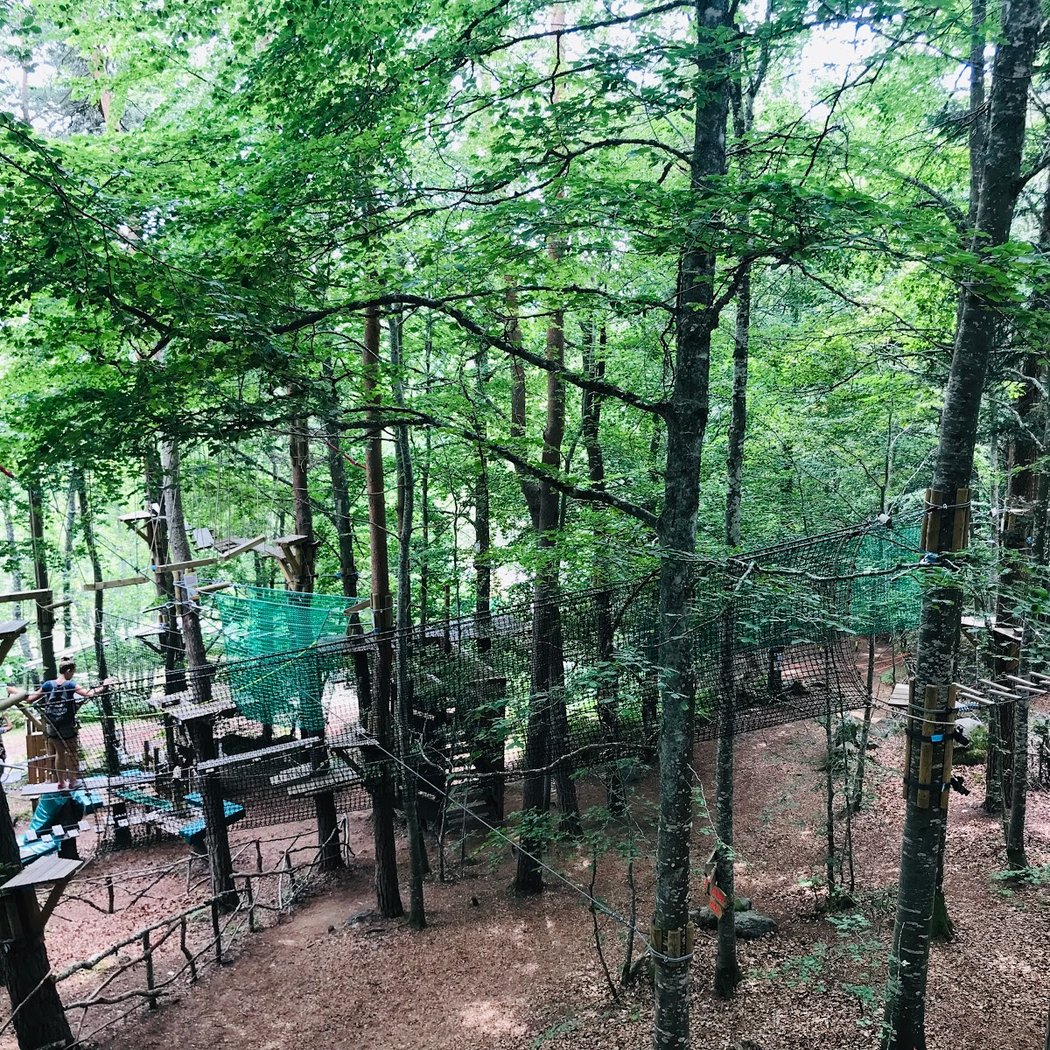 Acr’Oforez, accrobranche Loire (42), parcours arbres Montbrison, tyrolienne 3