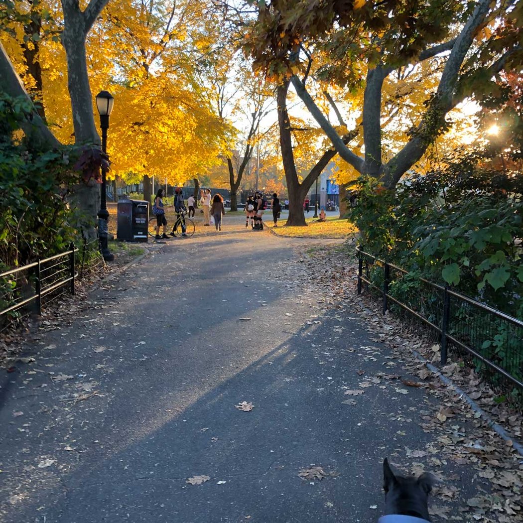Herbert Von King Park 2