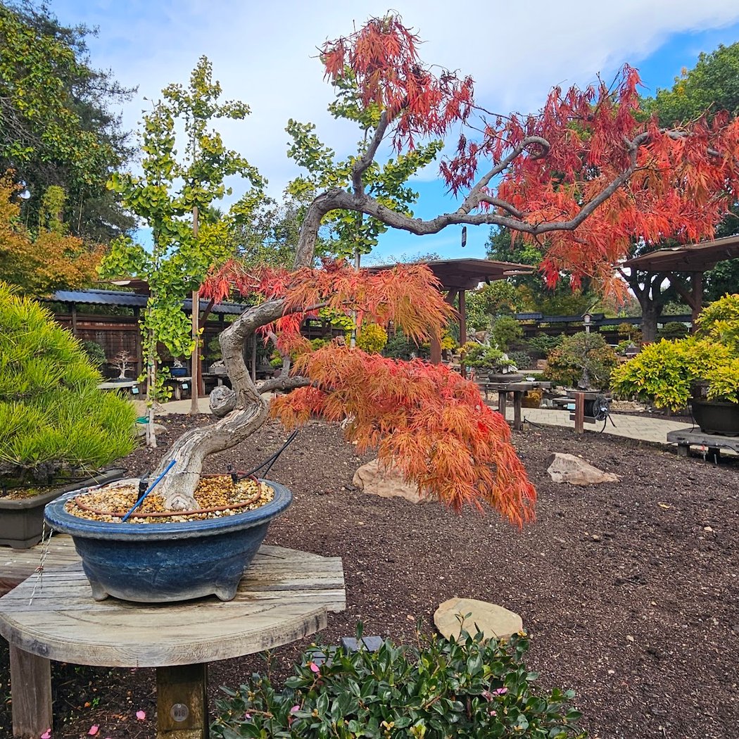 Gardens at Lake Merritt