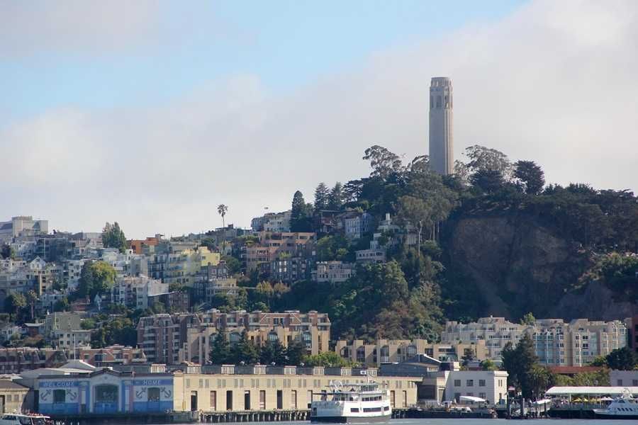 Coit Tower 2
