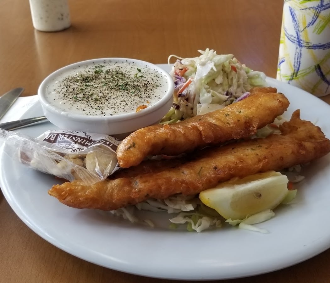 The City Fish 3