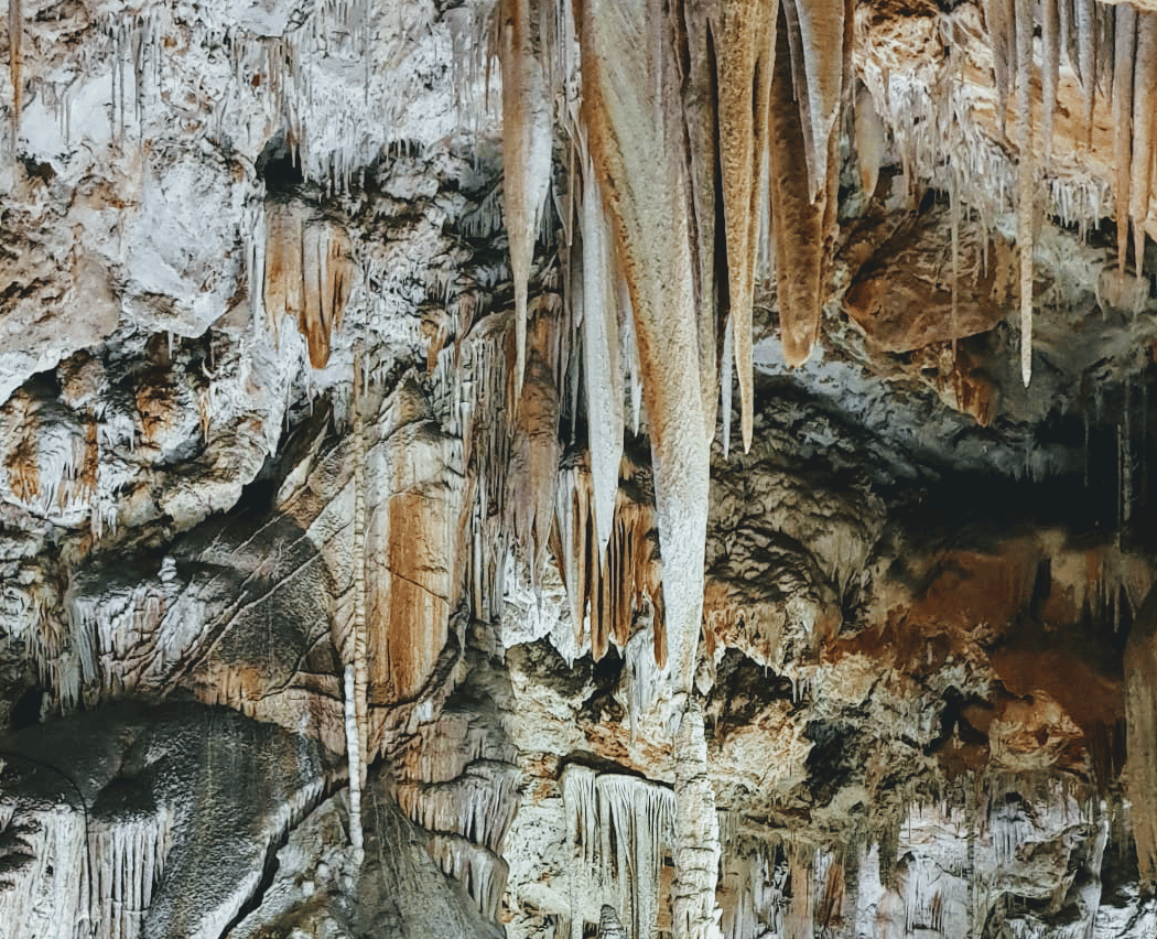 Coves de Campanet 2