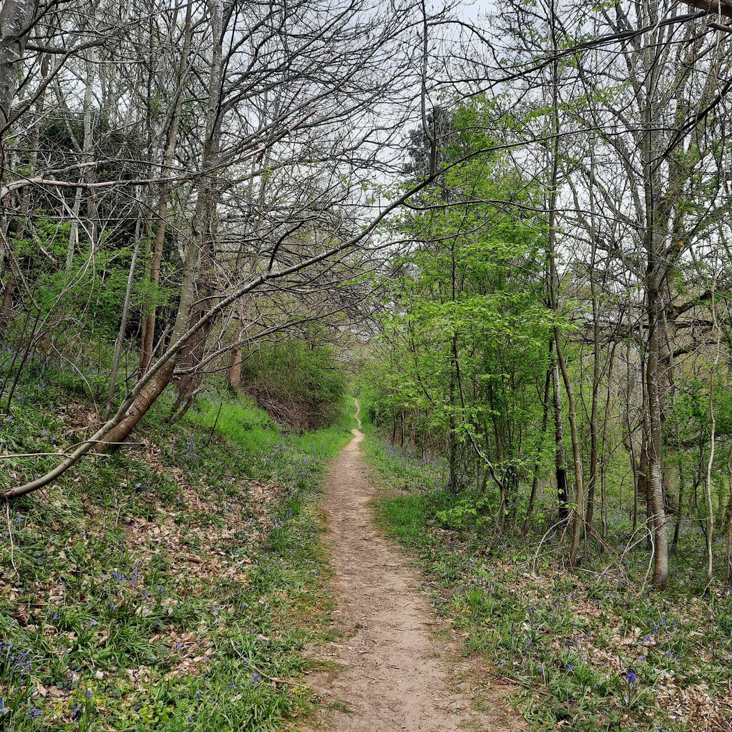 Parc des Côtes de Montbron 1