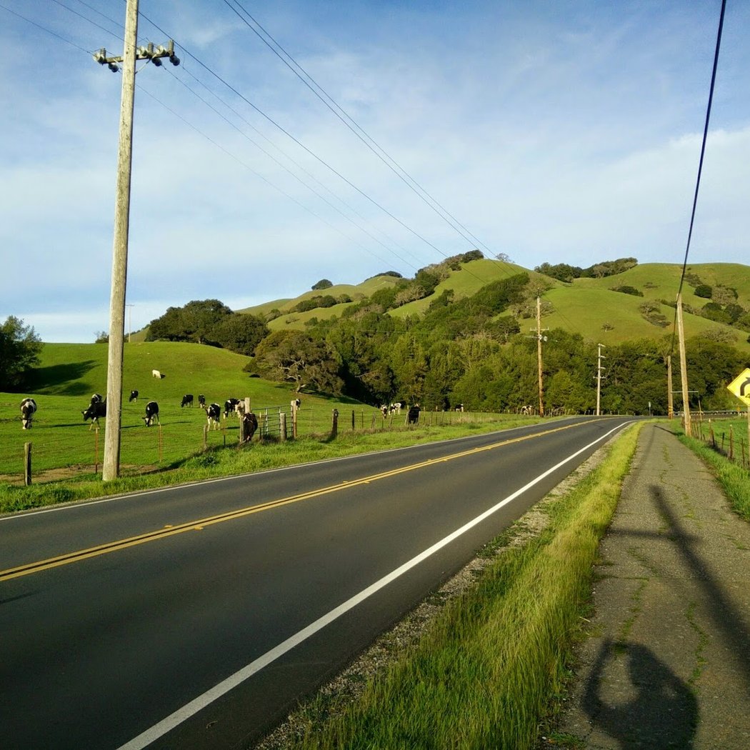 Ohair Park 3