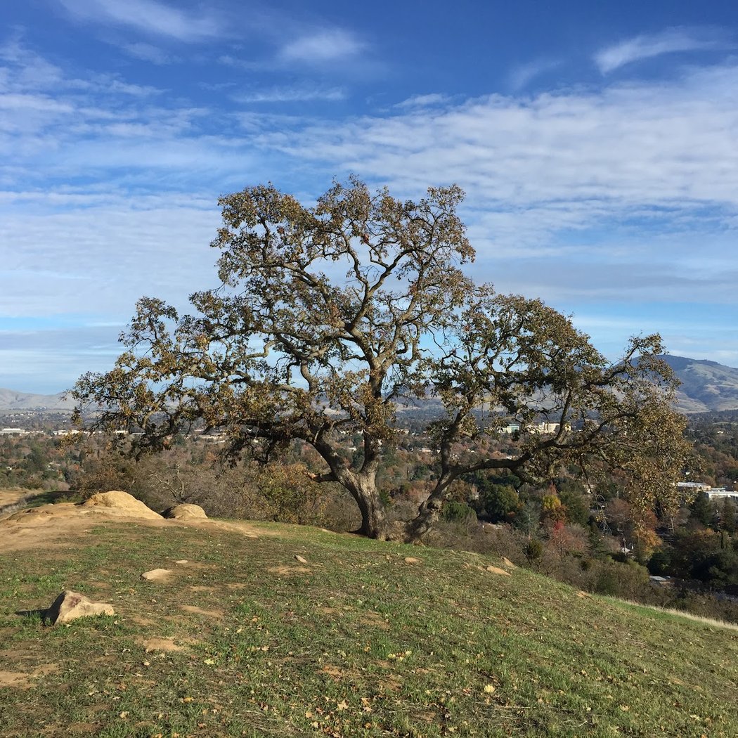 Dinosaur Hill Park 3