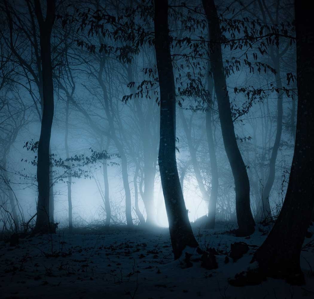 Moonlight Masquerade 1