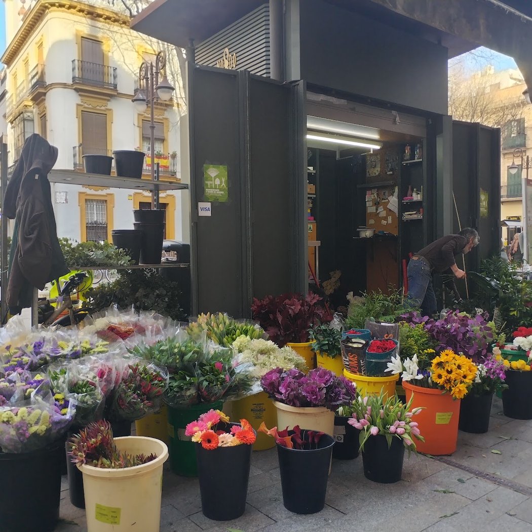 Floristería la Alfalfa 2