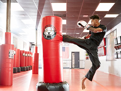 Tiger Schulmann's Martial Arts (Upper East Side, Manhattan, NY) 2
