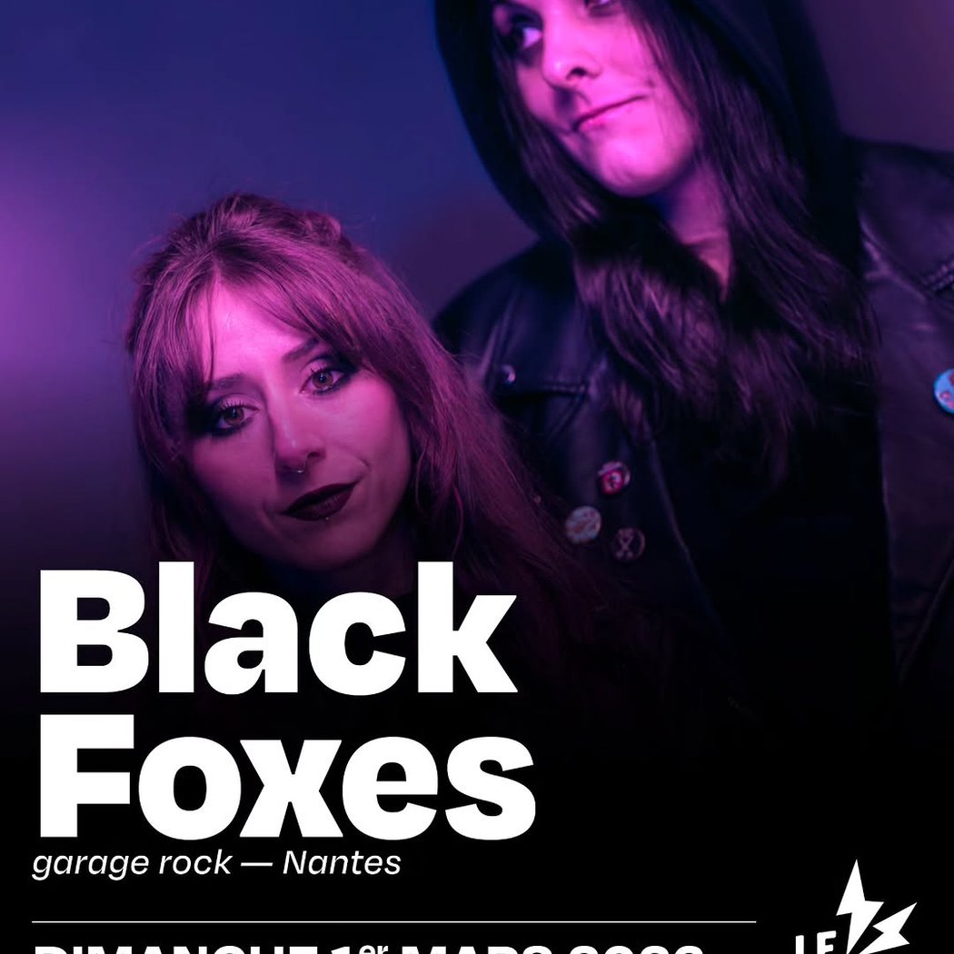 Black Foxes Concert 1