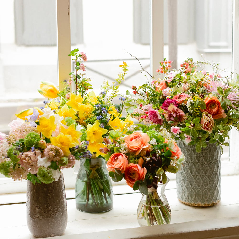 Le Jujubier | Fleuriste Meudon 1