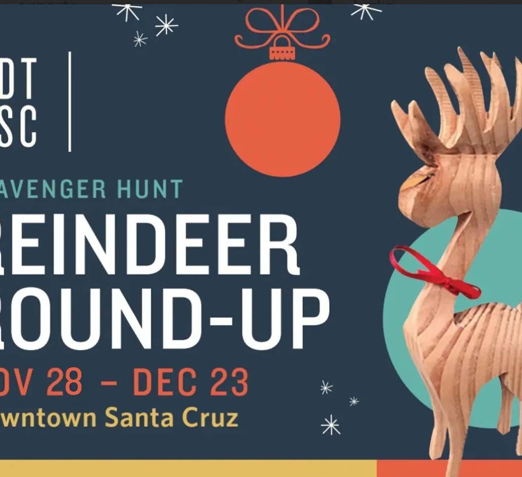 Reindeer Round-Up 1