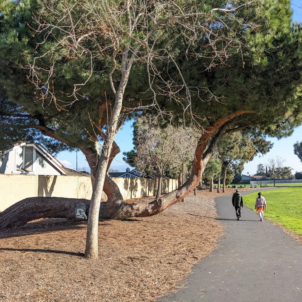 Birch Grove Park 1