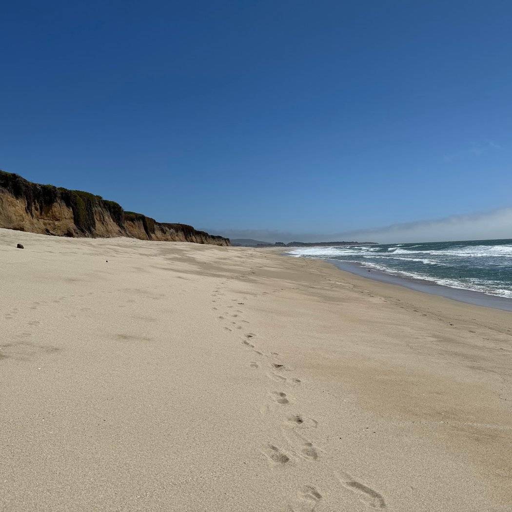 Monthly Beach Cleanups 3