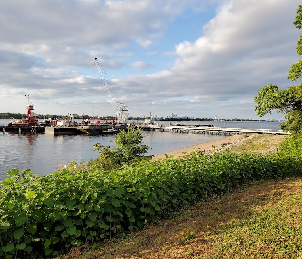 Paulsboro Revolution 250 2