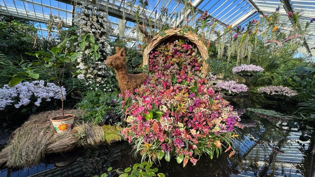 Orchid Festival 1