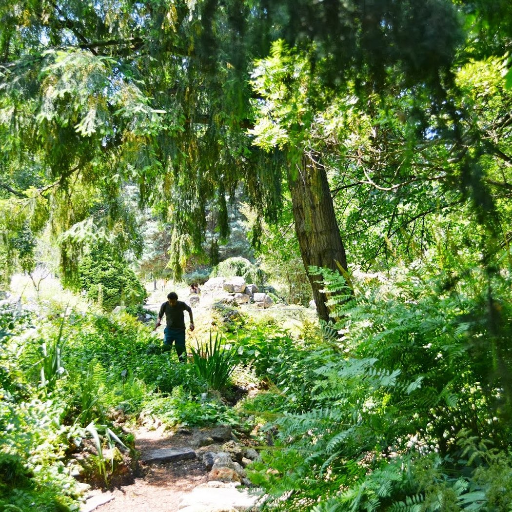 Animation autour de la récolte de graines au jardin Vavilov 2