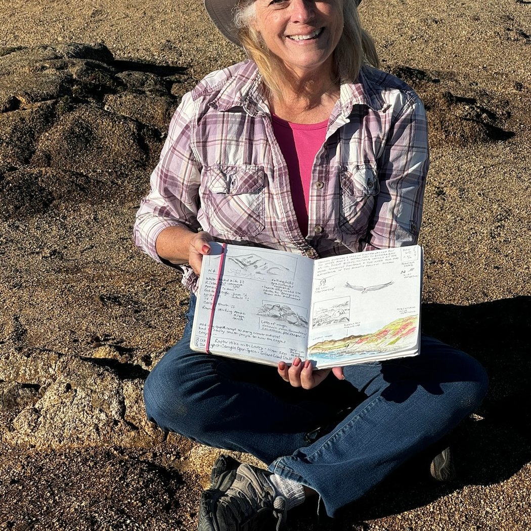 Coastal Nature Journaling - Rock Formations & Mini Landscapes 2