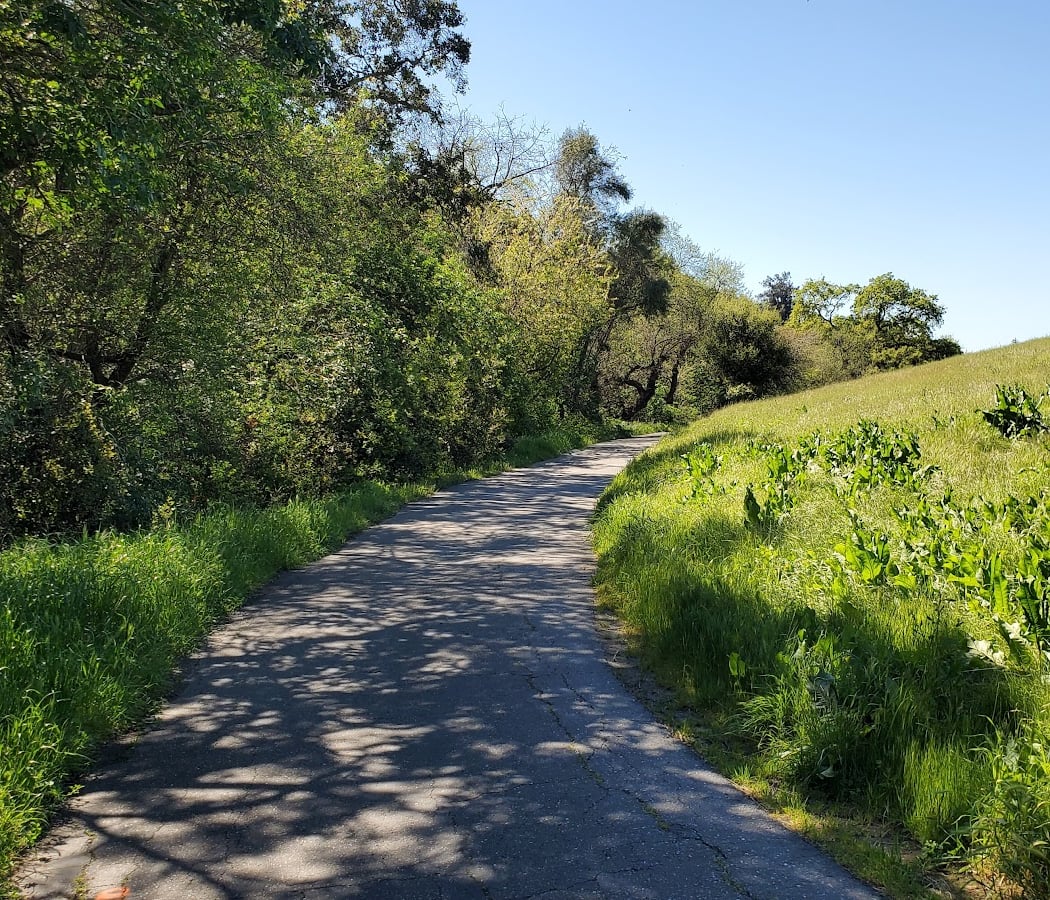 Sabercat Creek Trail 3