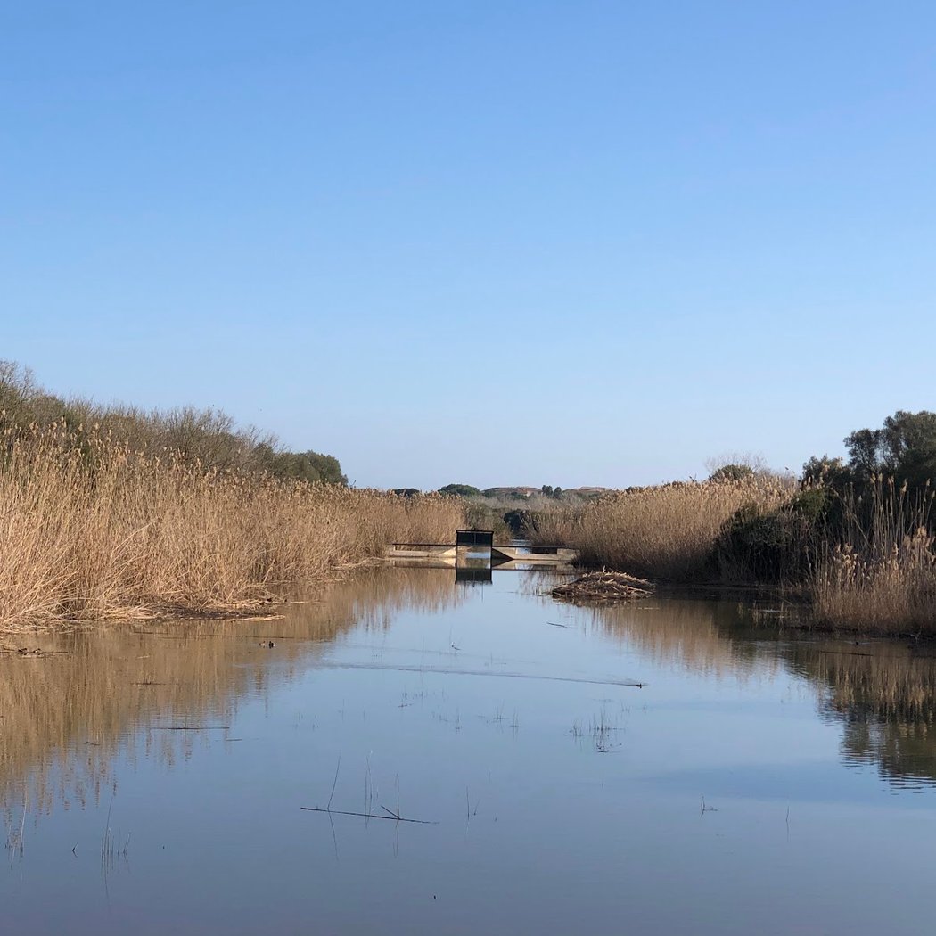 Environmental workshop: “Water and human action in s'Albufera” 2