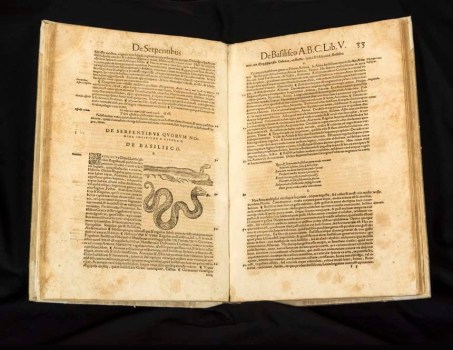 Renaissance Science, Magic, and Medicine in Harry Potter’s World 2